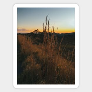 Sunset in Brazilian National Park (Chapada dos Veadeiros, Goias) Sticker